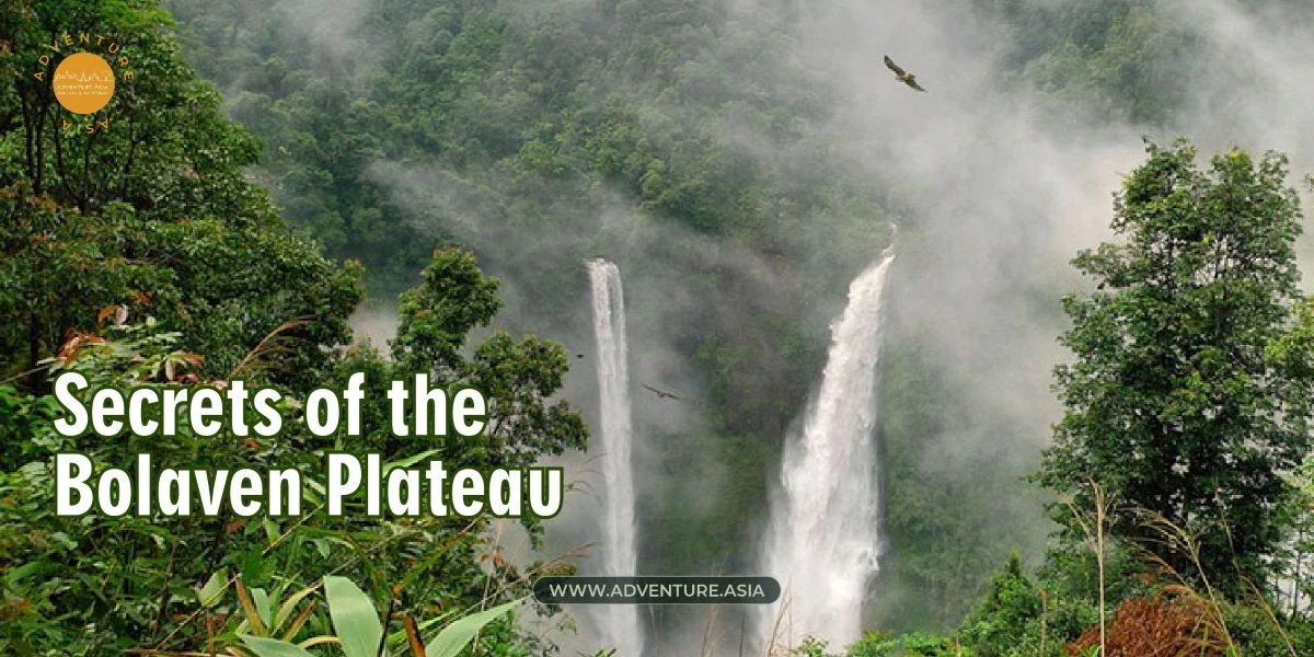 Discover the Secrets of the Bolaven Plateau by Kayak