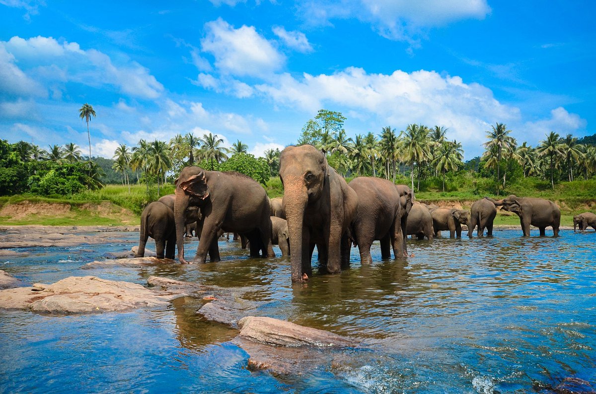 Sri Lanka in Four Days