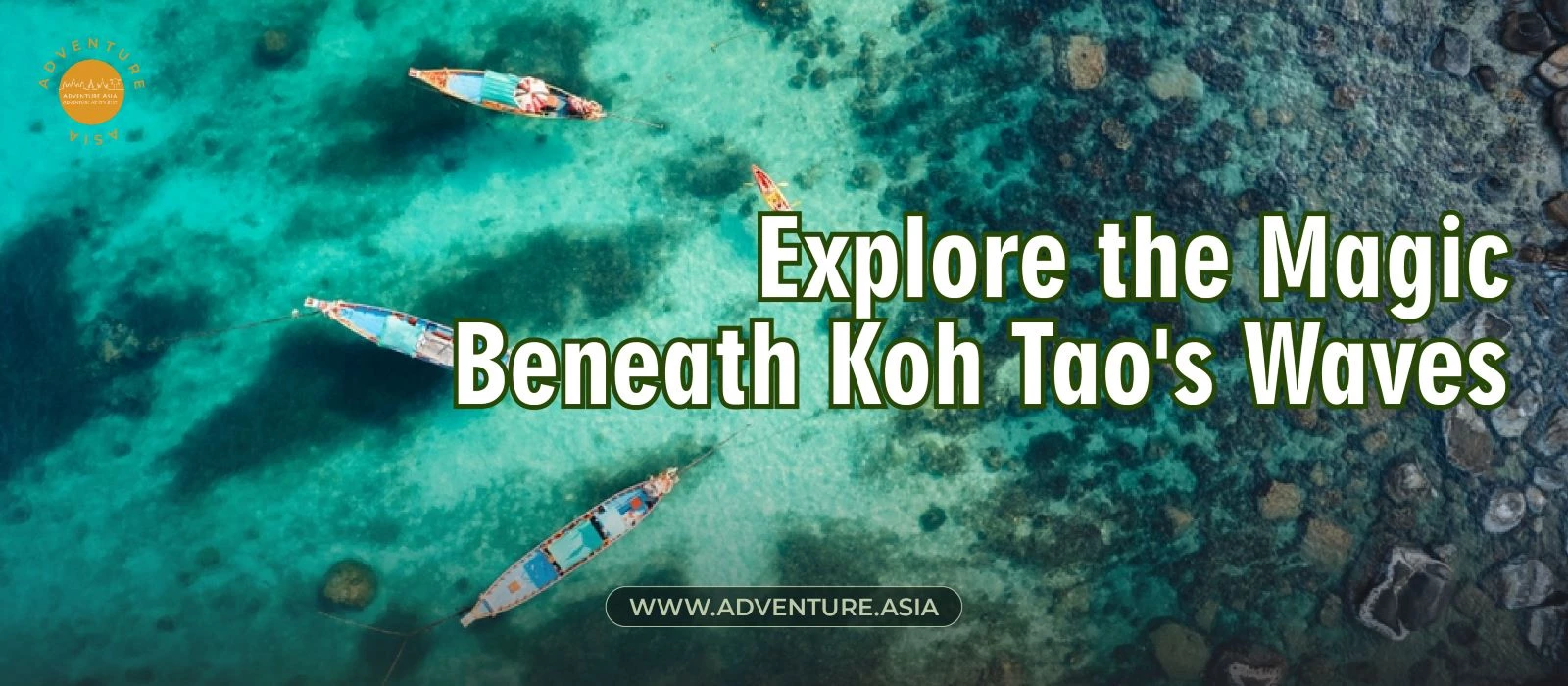 Thailand Island Diving: Explore the Magic Beneath Koh Tao Waves