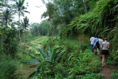 1-Day Eco Tour for Nature Lovers in Bali