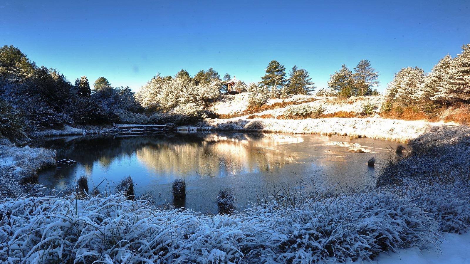 Daxueshan National Forest – Private Day Tour