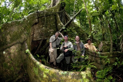 Adventure-Filled Ketambe Rainforest Tour Indonesia