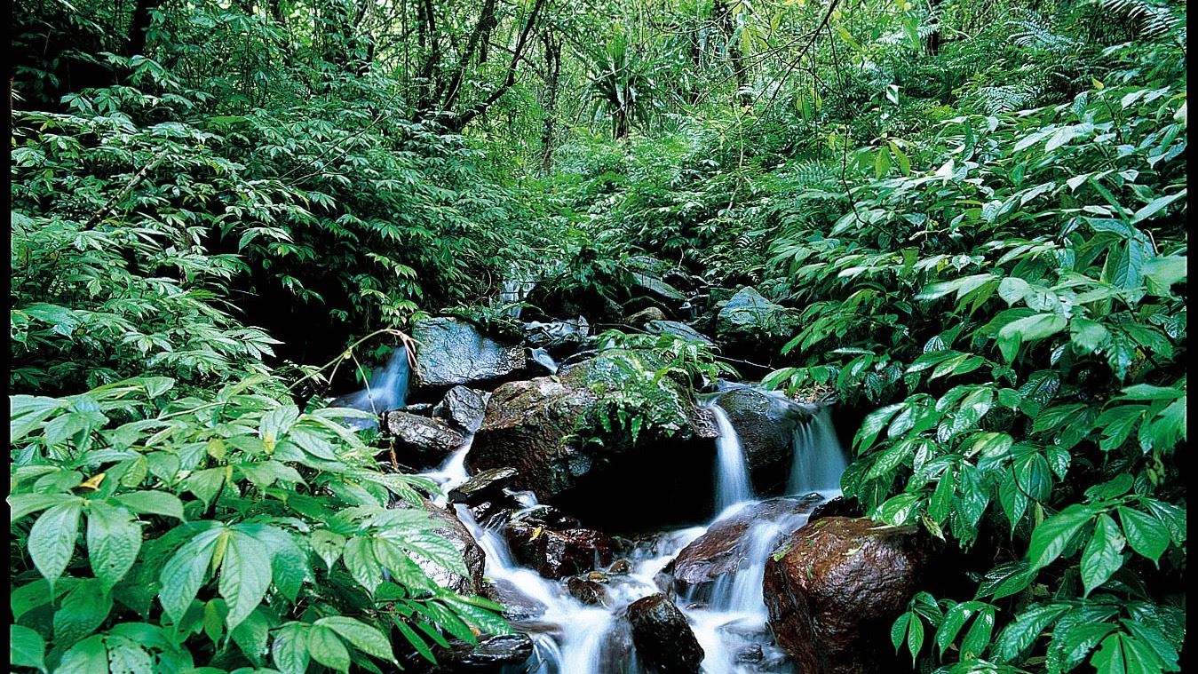 Manyueyuan National Forest – Private Day Tour from Taipei