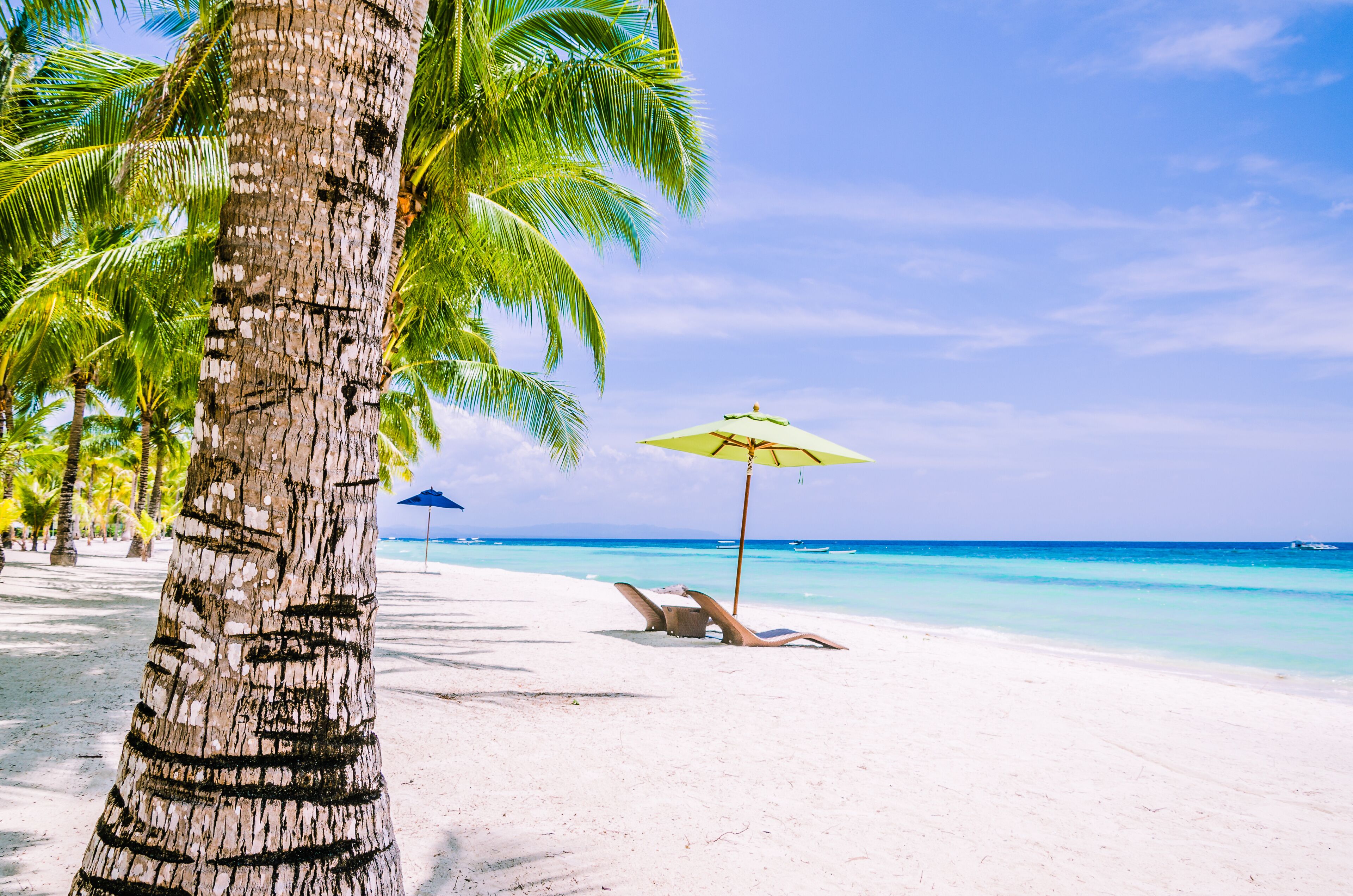 Cebu-Bohol Adventure