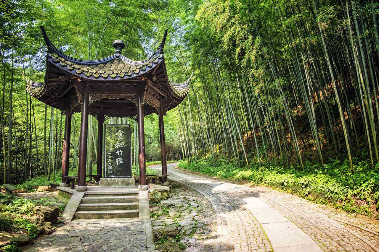 Shanghai and Hangzhou: A Three-Day Private Journey
