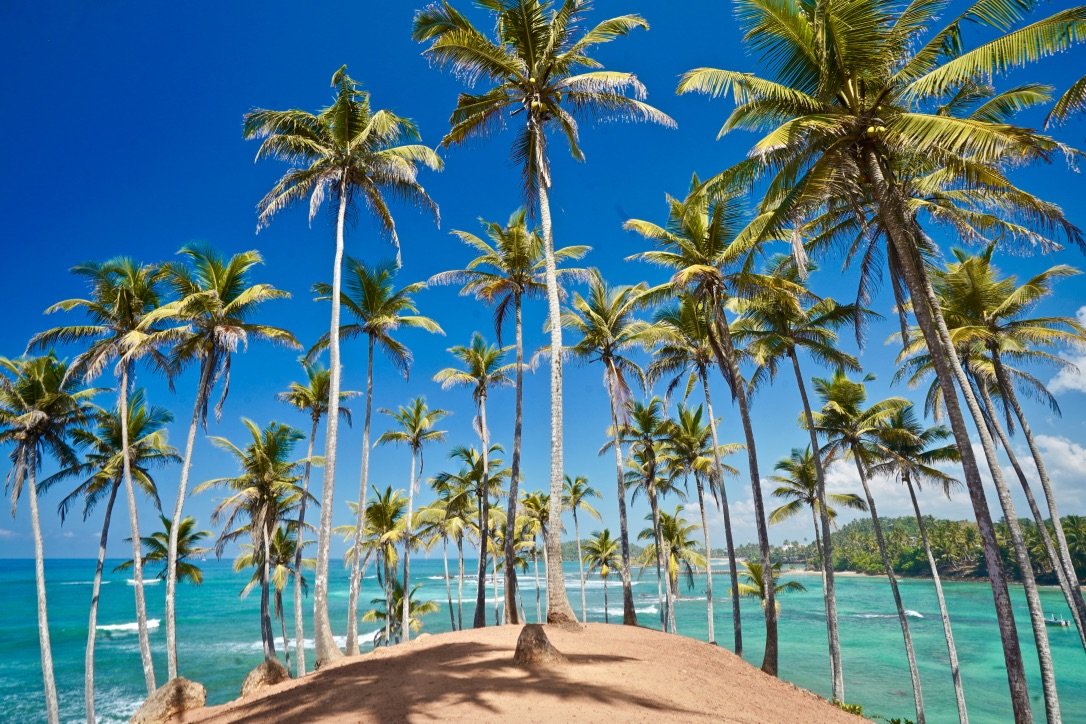 Cycling the Coastal Villages of Mirissa