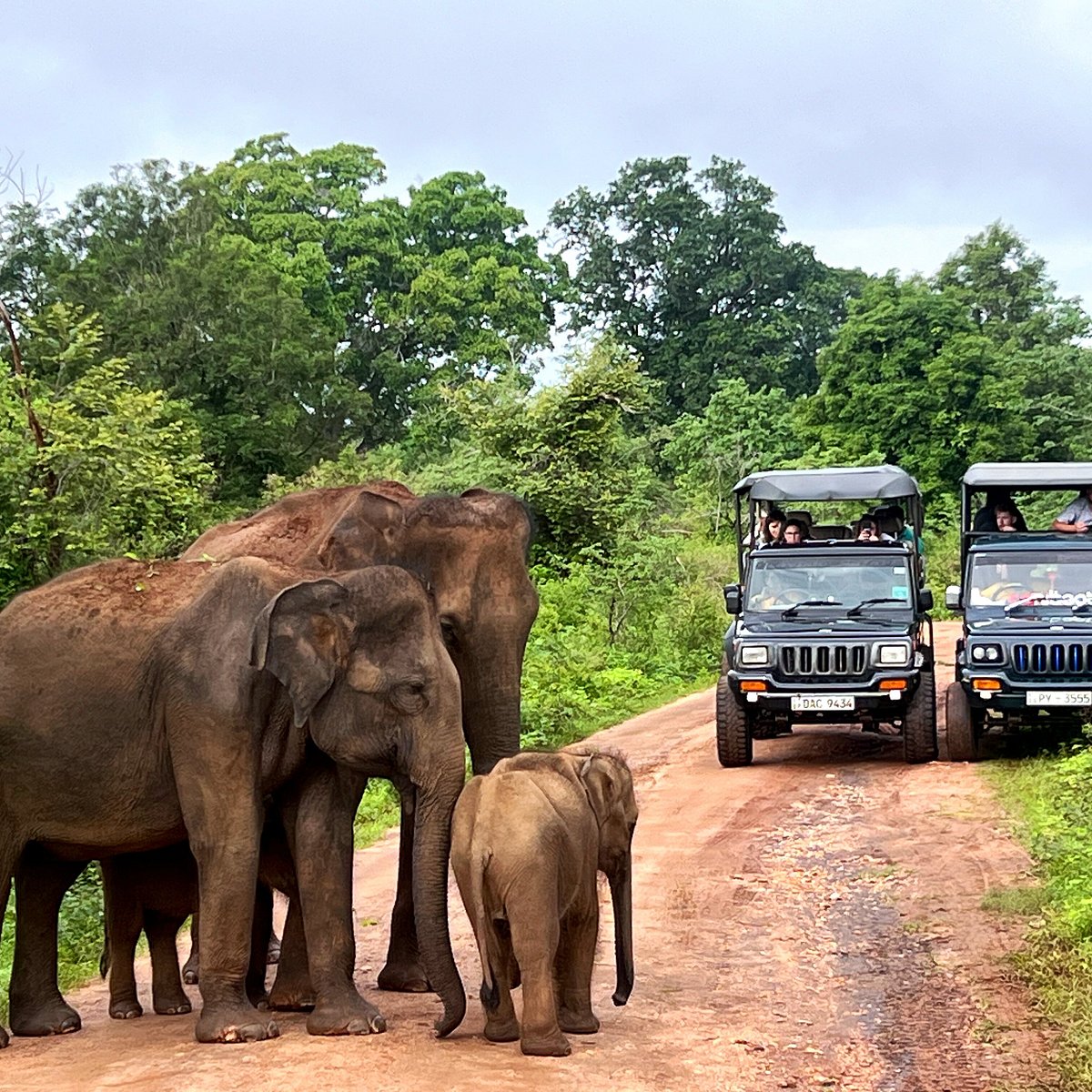 Family Holiday in Sri Lanka for Summer
