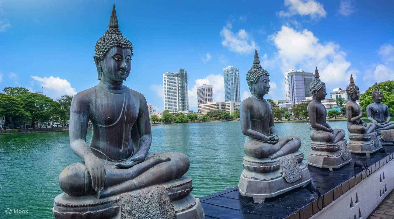 The Northern Reach: Jaffna, Trincomalee and the Eastern Coast