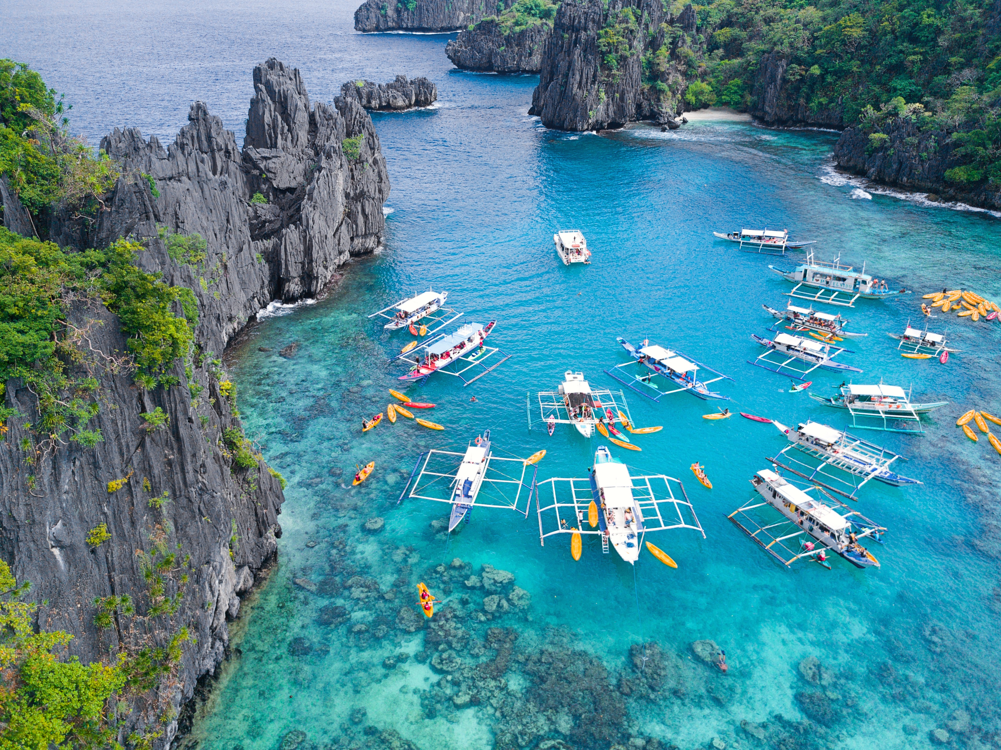 Palawan Birding Program Wildlife Tour