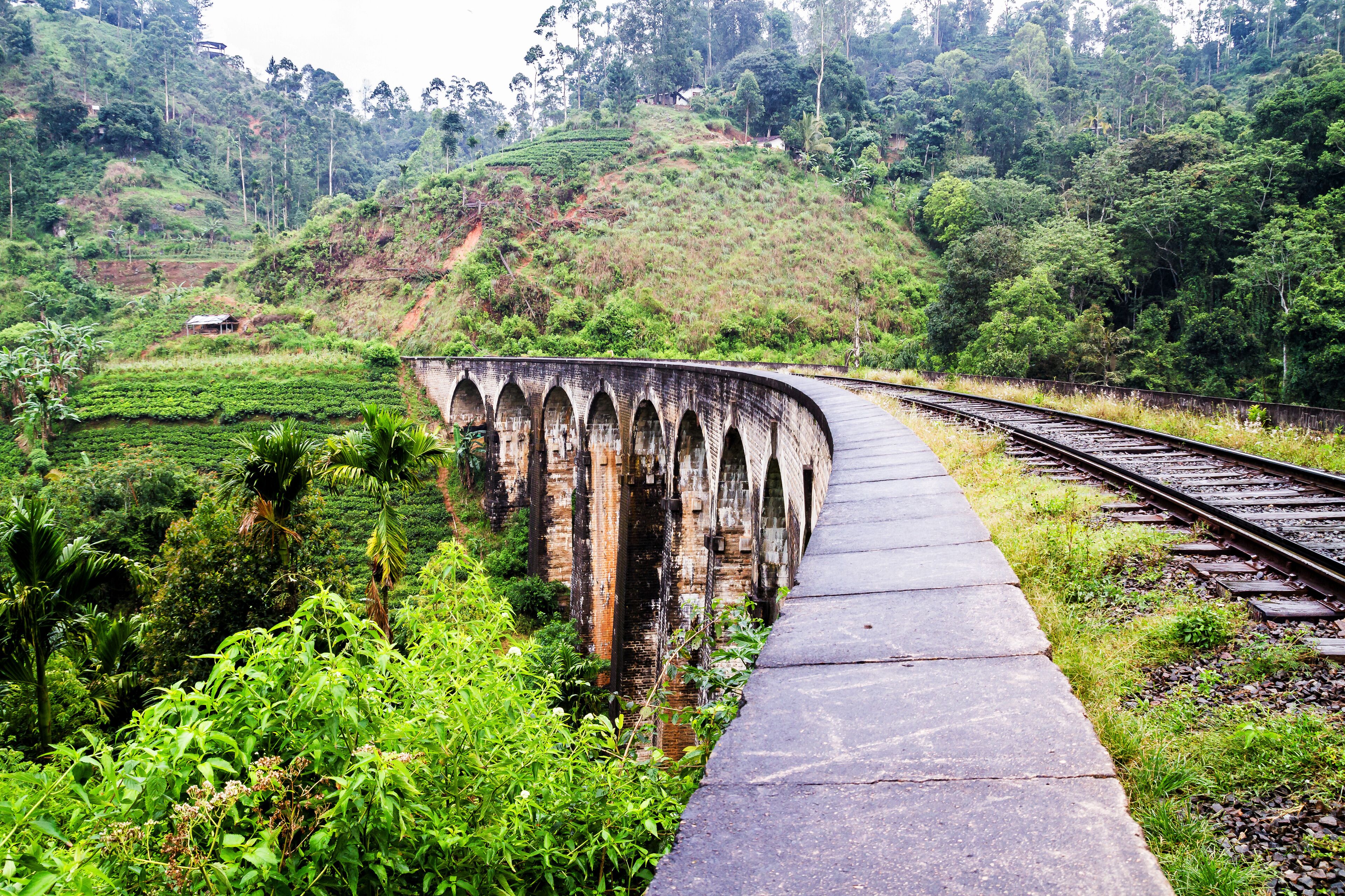 Off the beaten Tour of Sri Lanka