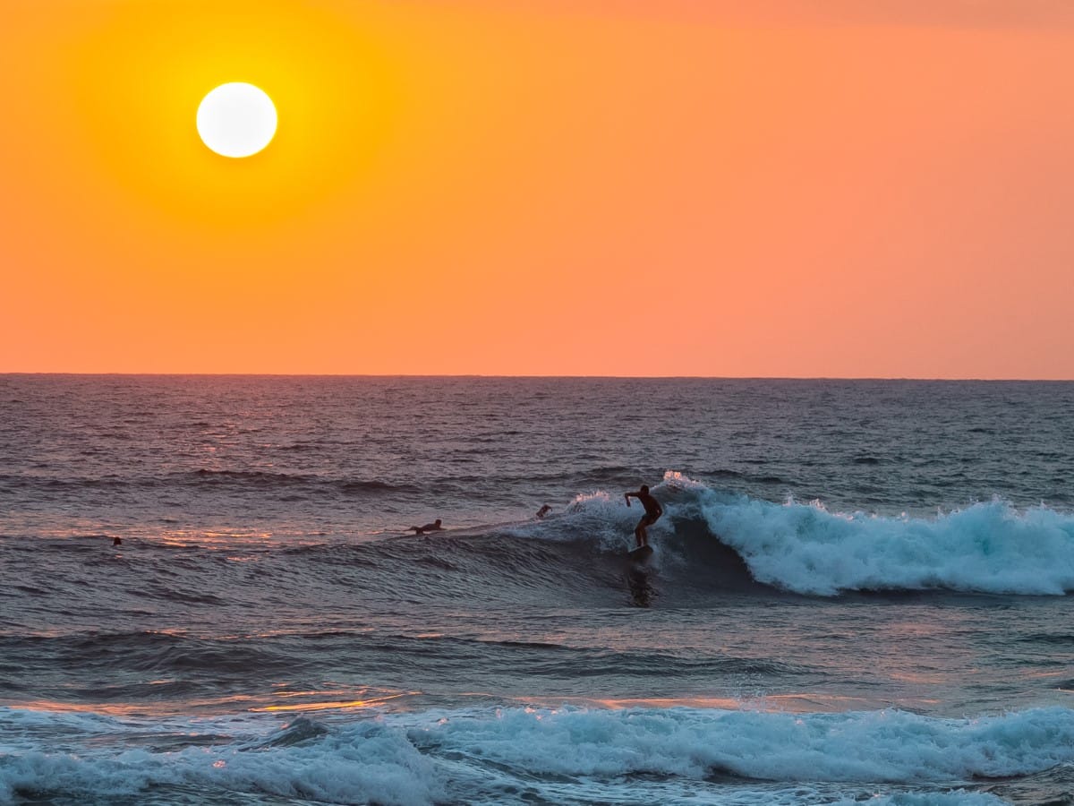 Sri Lanka Leopard Trails Safari & Beach Getaway