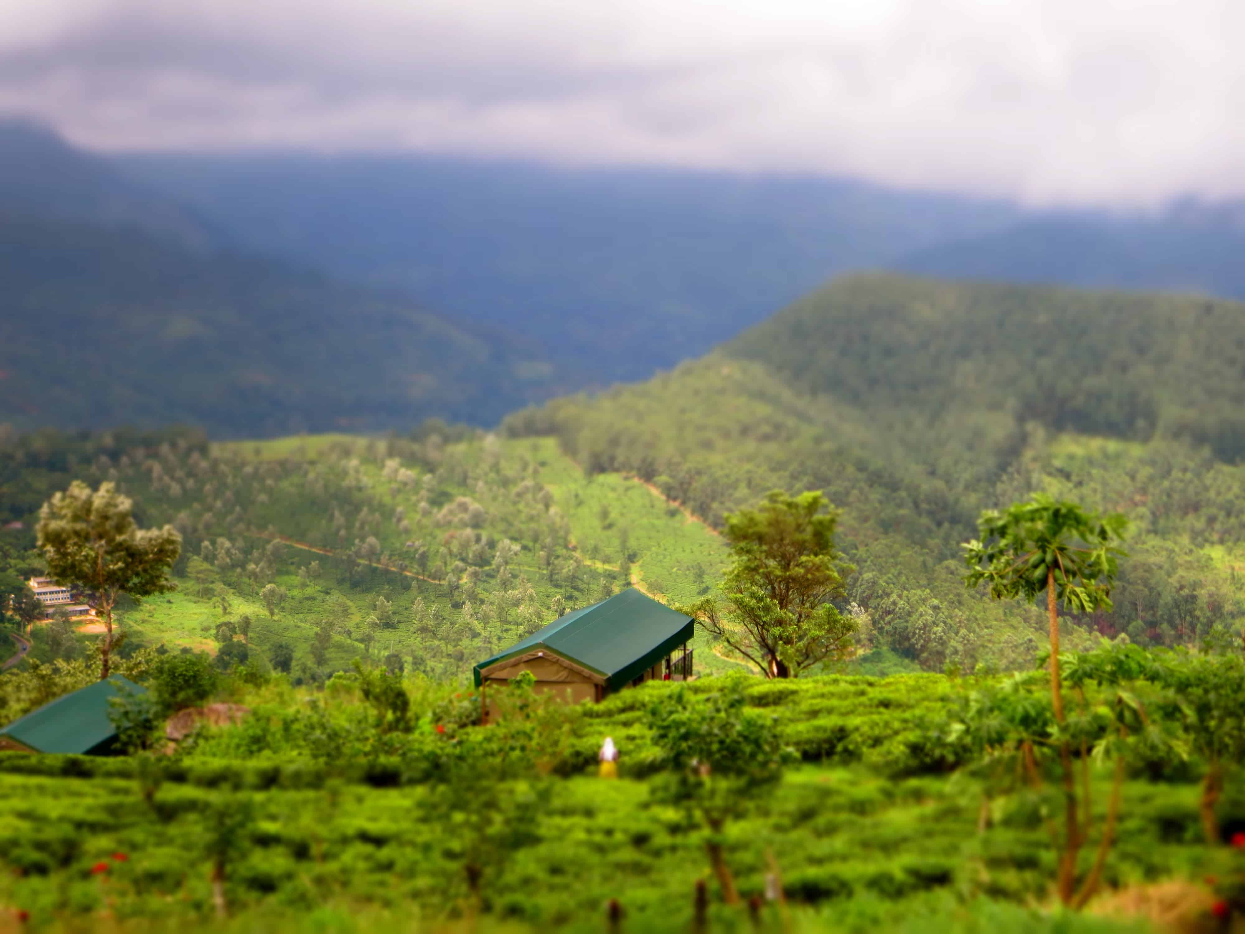 Sri Lanka Private Honeymoon Journey — 13 Nights, Option II