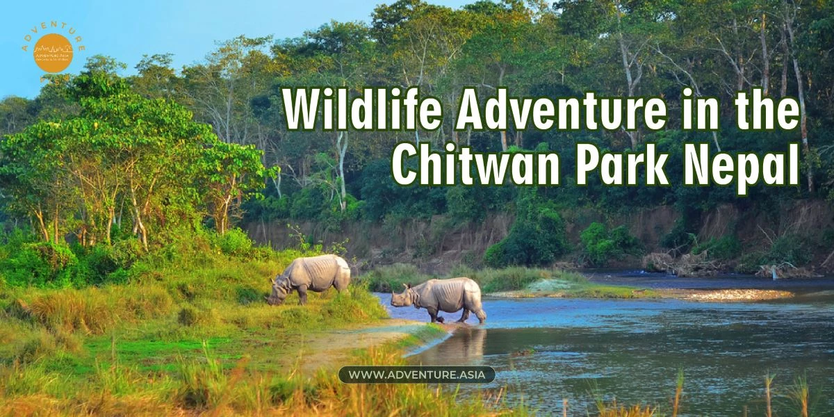 An Impressive Wildlife Adventure Awaits in the Chitwan Park Nepal