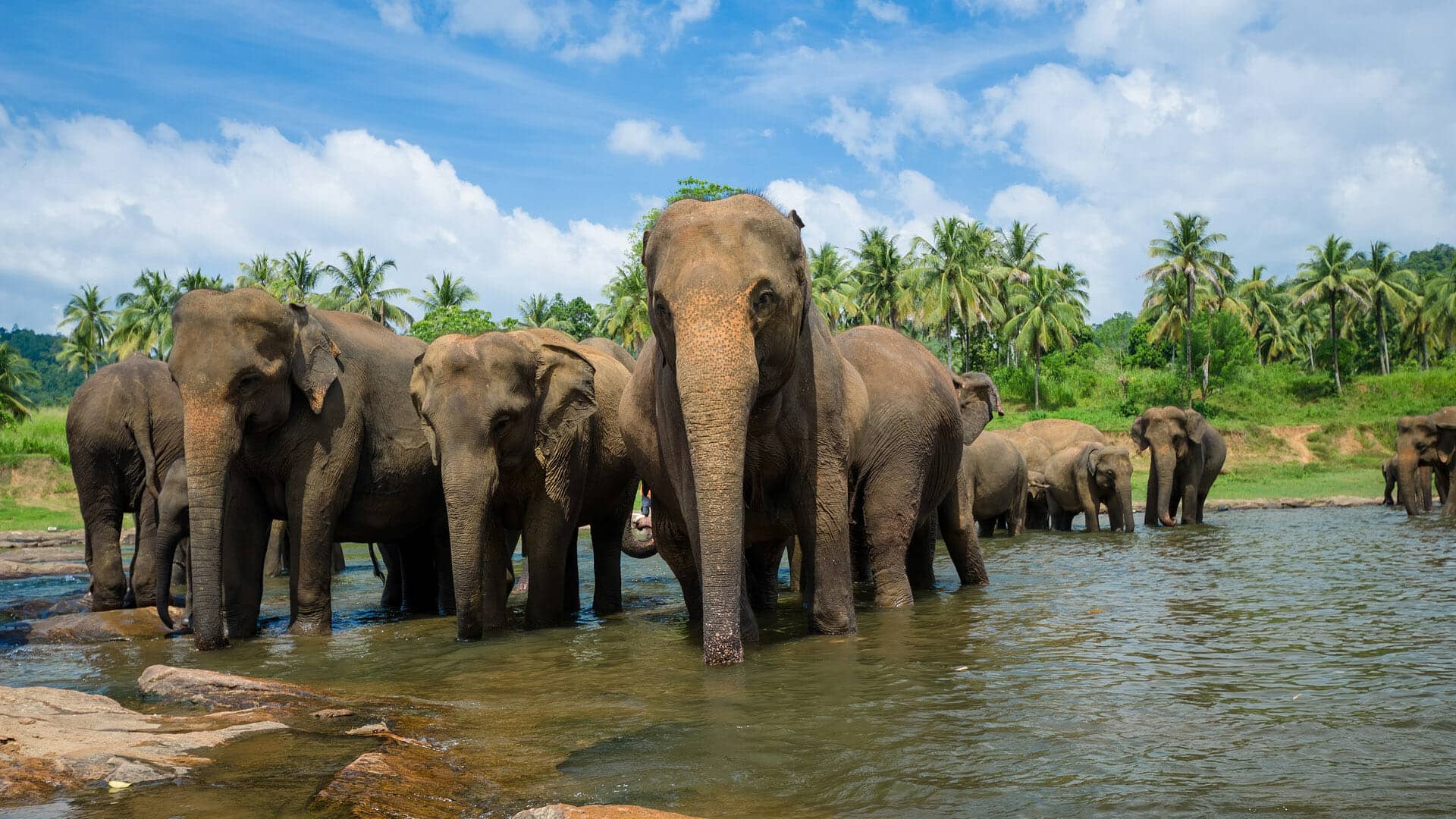 Sri Lanka Wildlife Photography: 13 Nights