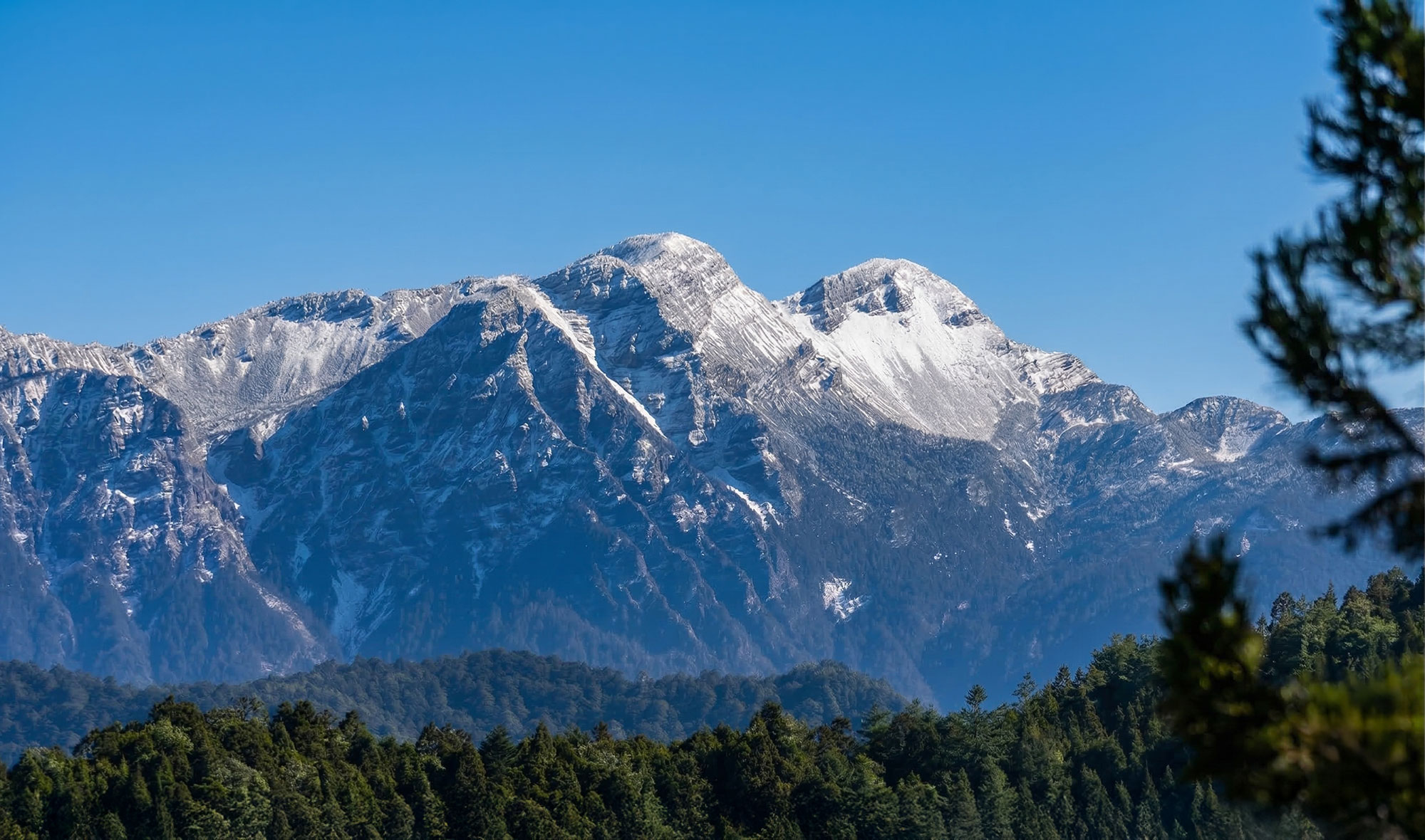 Guanwu National Forest – Private Day Journey