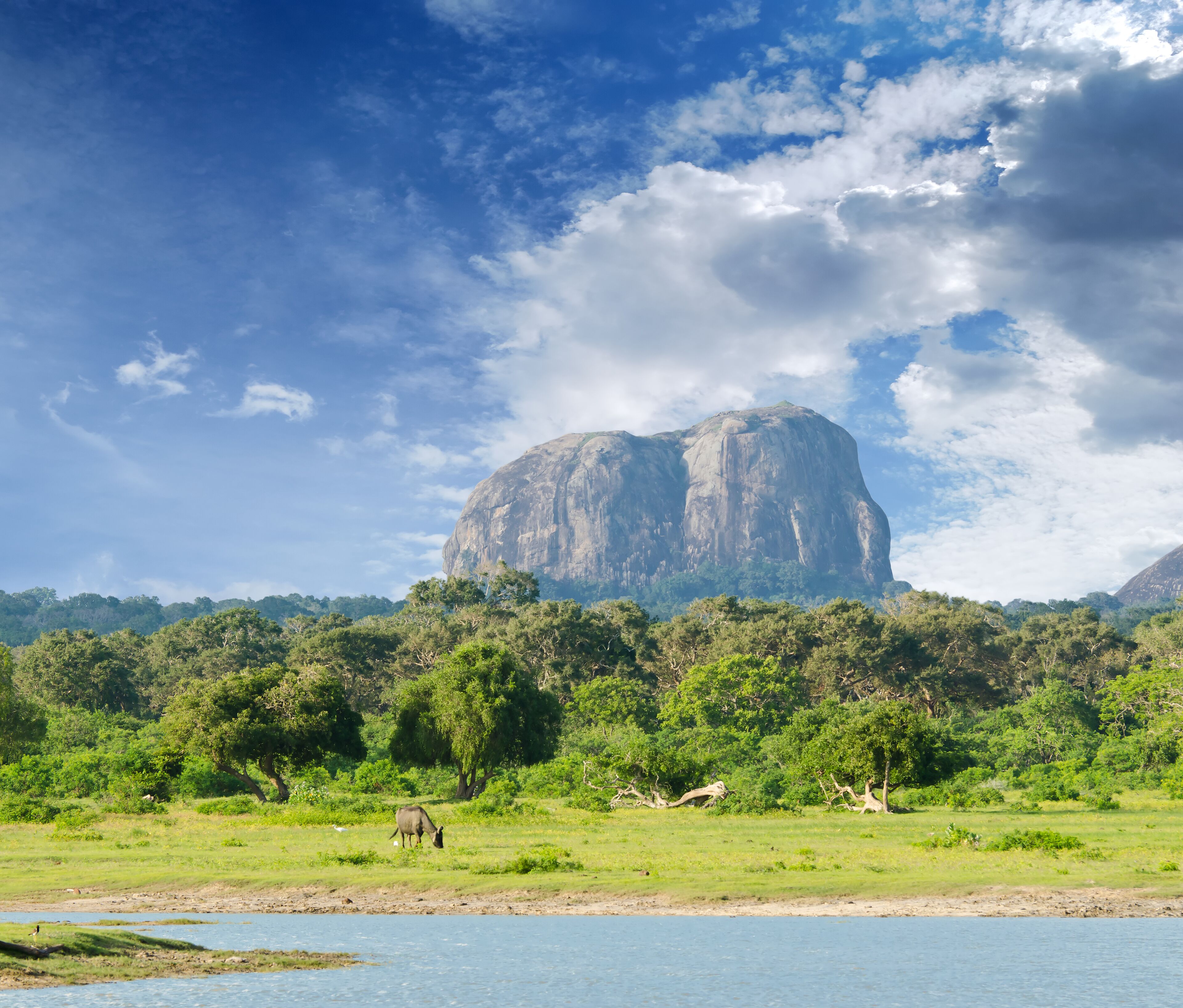 Honeymoon Tours in Sri Lanka – 6 nights, Option VIII