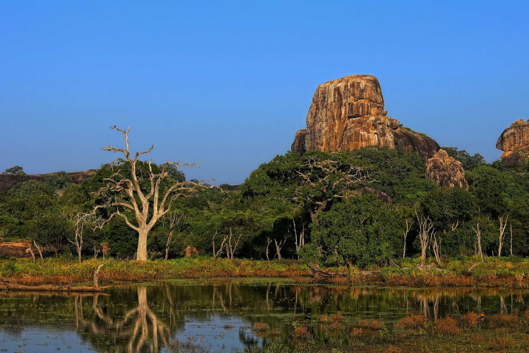 Sri Lanka Enchantment