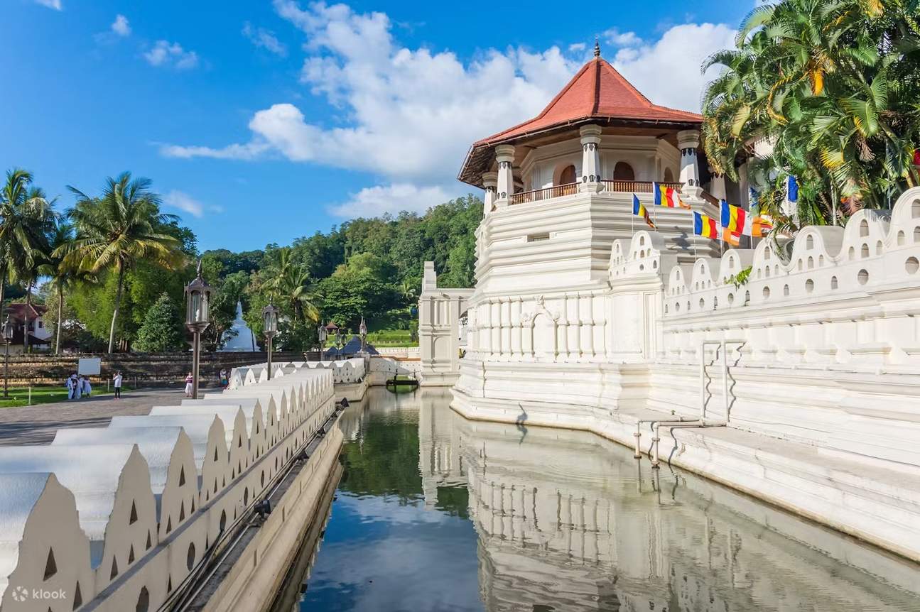 An Immersive Homestay Journey Through Sri Lanka