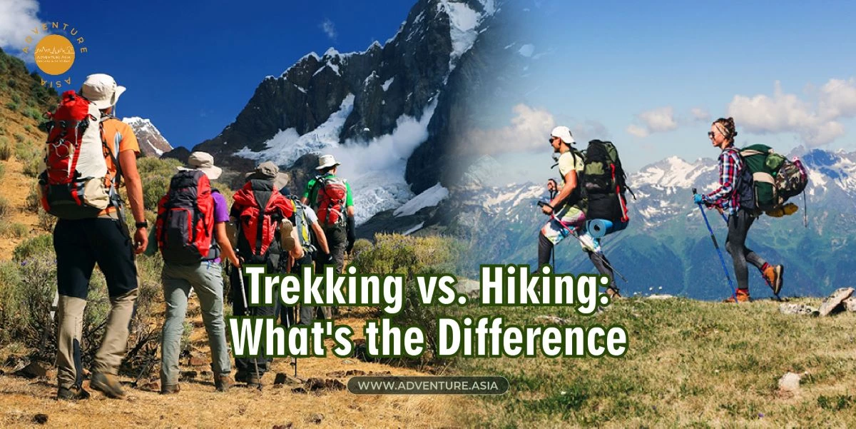 Differences Between Trekking And Hiking? Which One is Right for You?