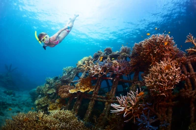 Mangrove and Snorkeling Adventure in Nusa Lembongan - Bali