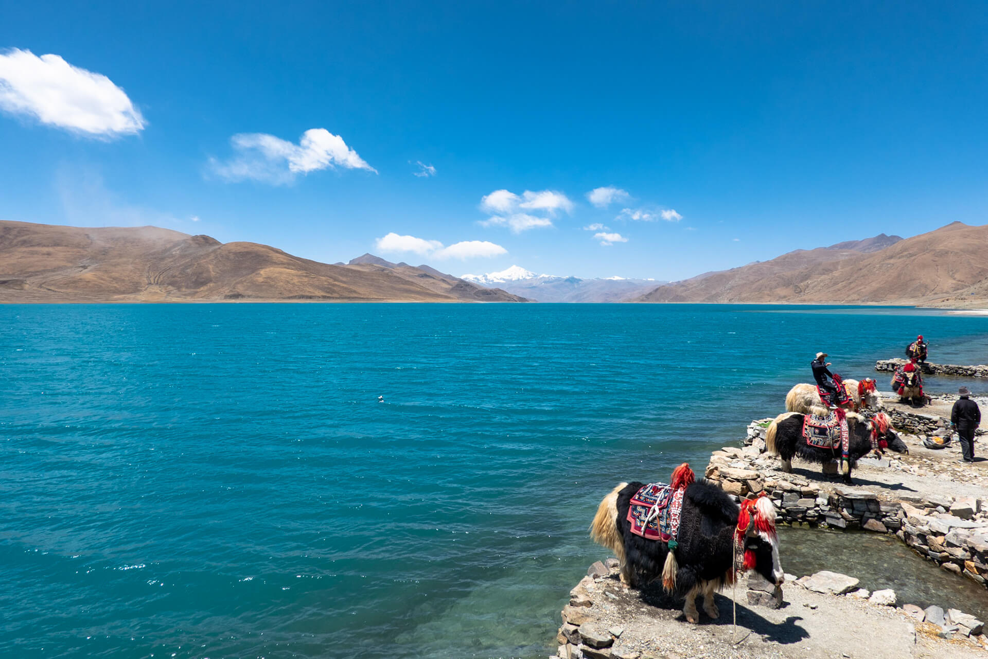 Private Tour: Lhasa, Gyantse and Shigatse