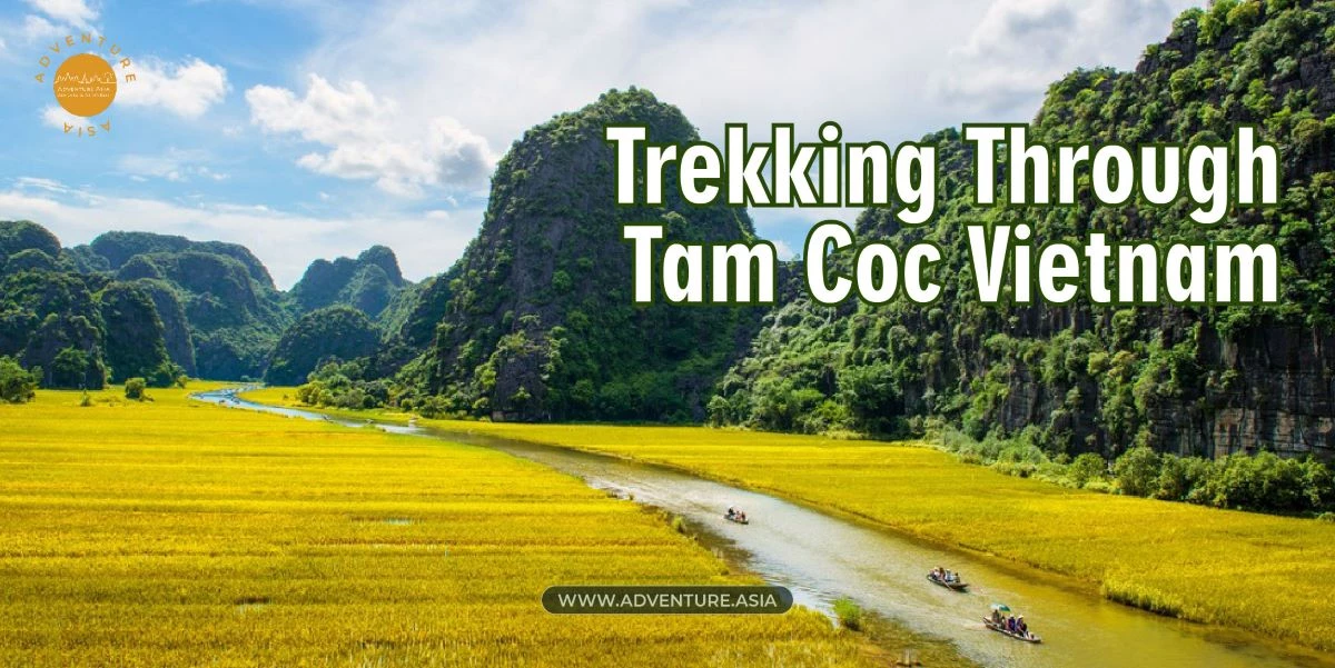 Trekking Through Tam Coc Vietnam Nature Reserve - A Journey into Lush Jungles