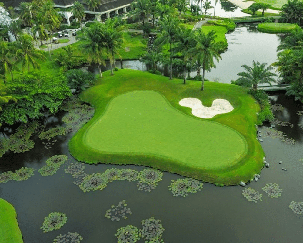 Golf Tour  | Private Courses Local