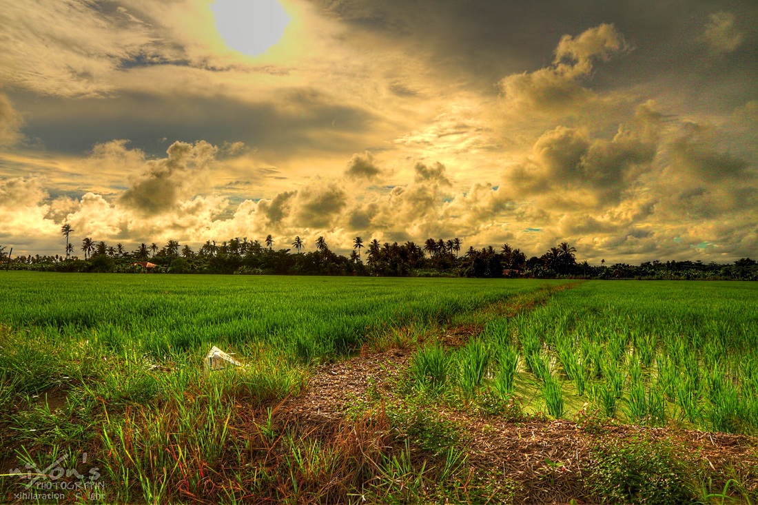 Sri Lanka Private Journey — Six Nights