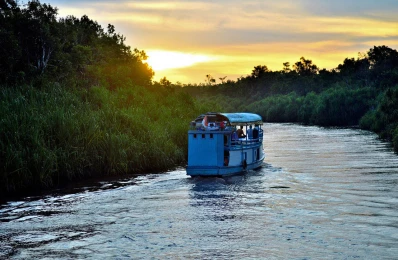 River Cruise and Orangutan Research Centers Tour for the Family