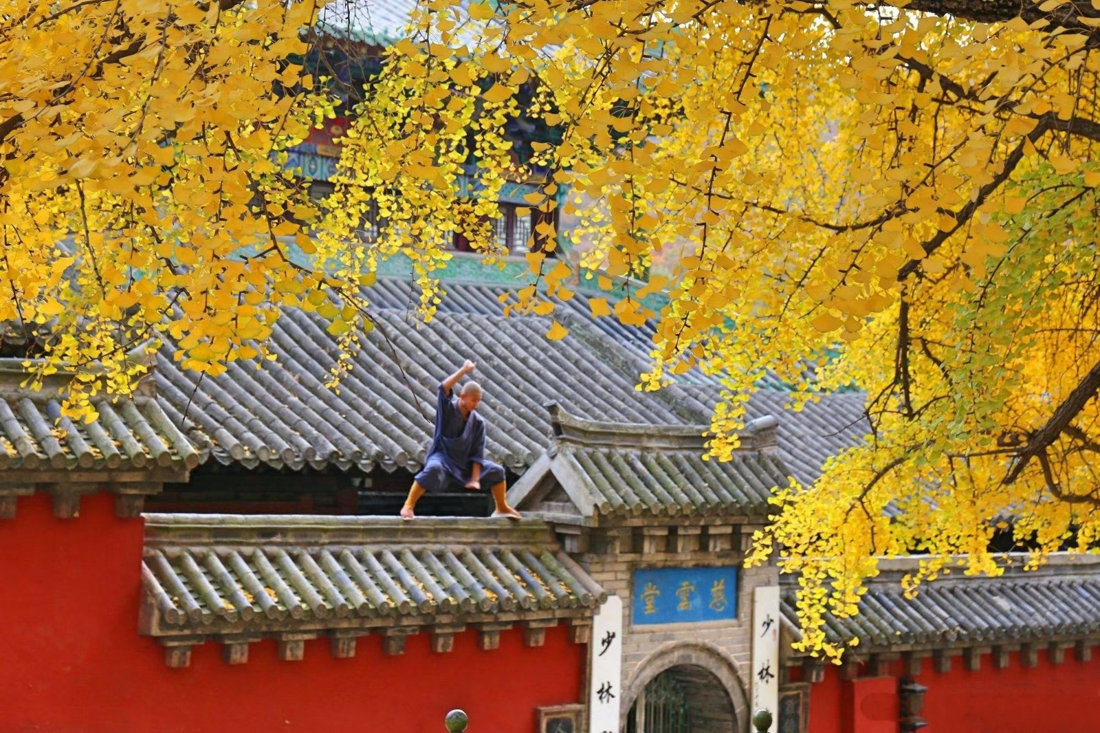Shaolin Monastery and Longmen Grottoes by High-Speed Rail from Xi'an