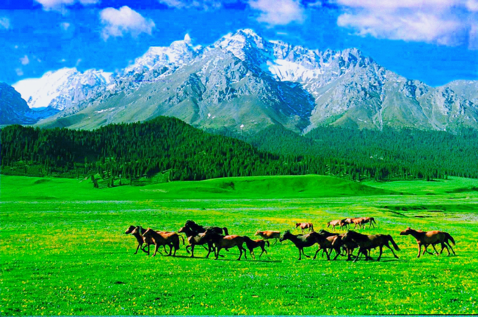 Silk Road Traverse: Kazakhstan, Kyrgyzstan and Xinjiang