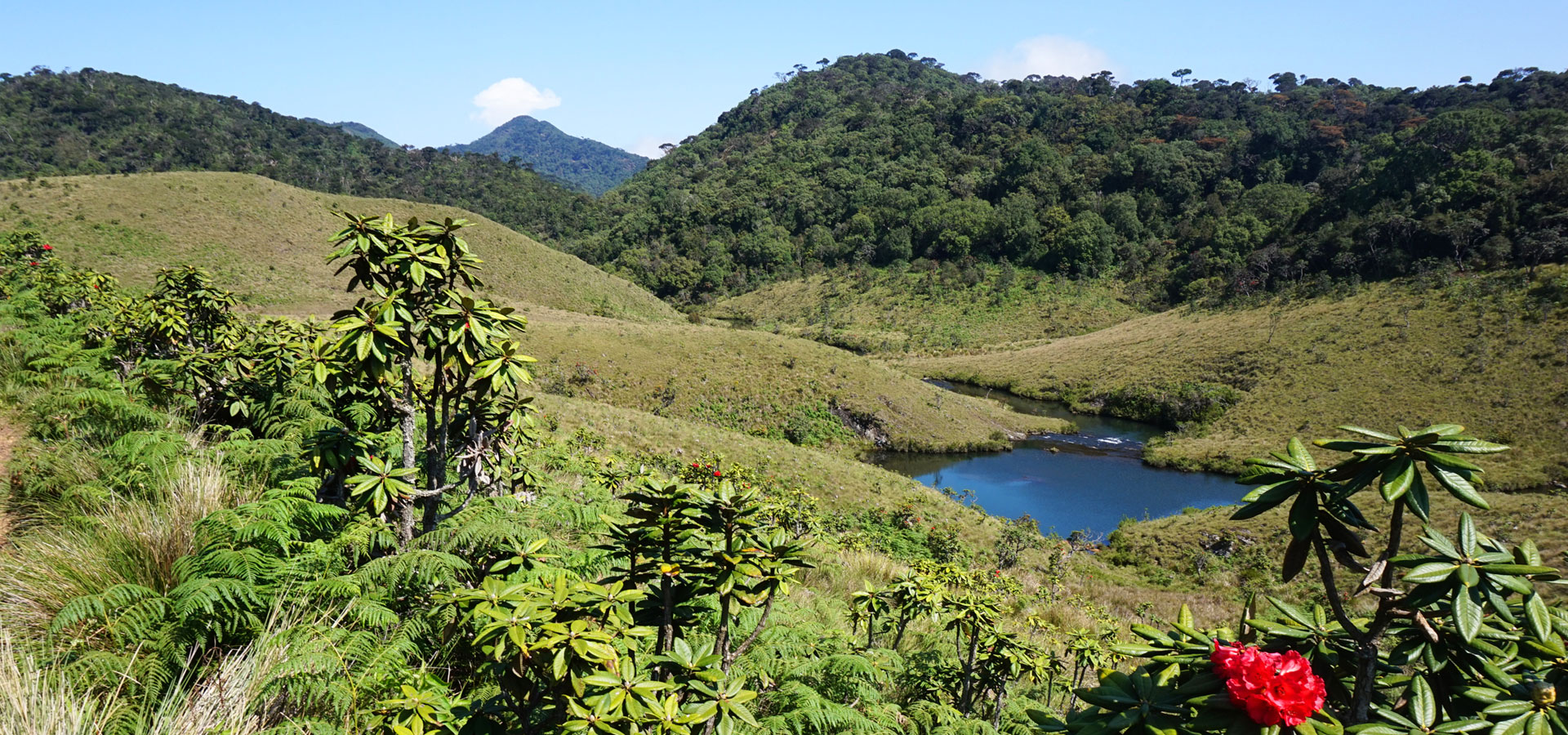 Sri Lanka Short Break: Hill Country & River