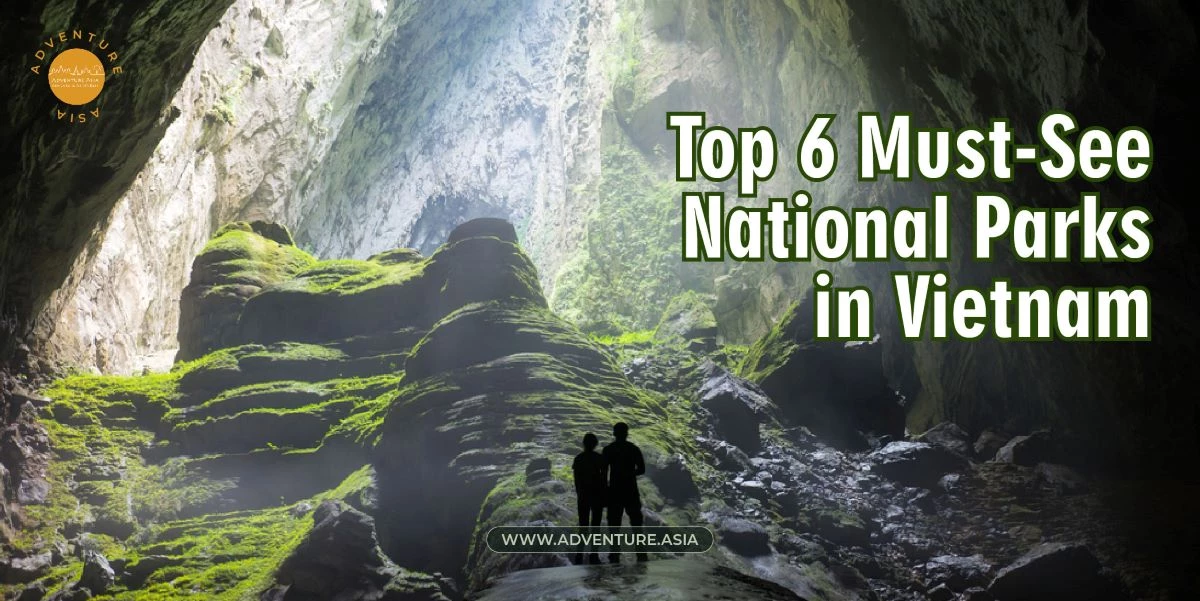 Top 6 Must-See National Parks in Vietnam from The North to South