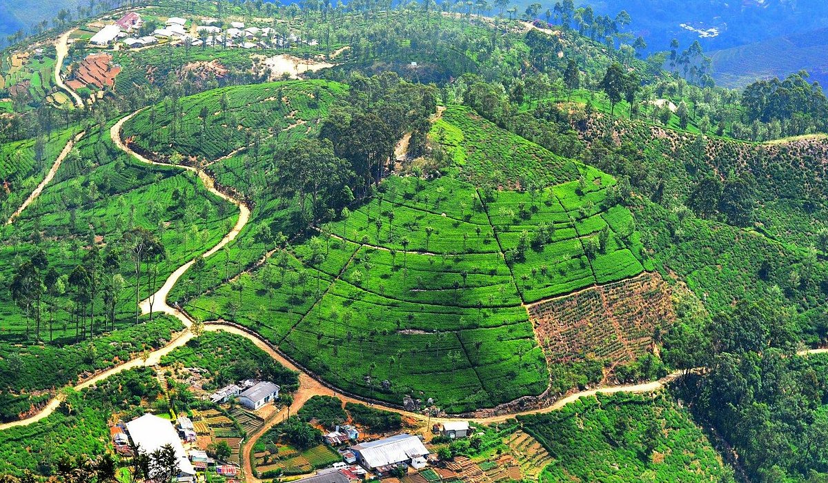 Pekoe Trail Stages 11 and 12 with Bambarakanda Waterfall