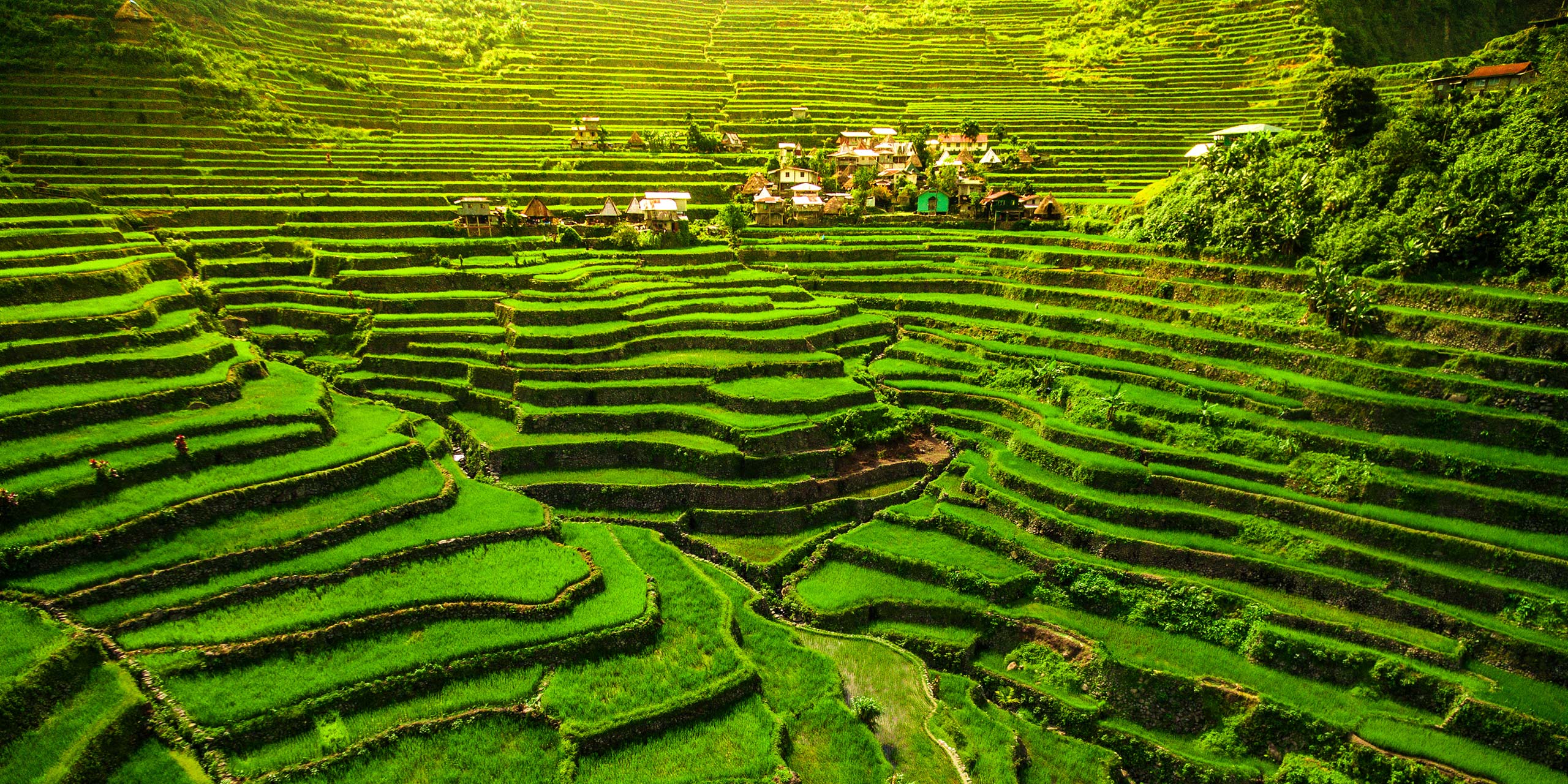 Philippines Cordillera Highlands Hiking Tour