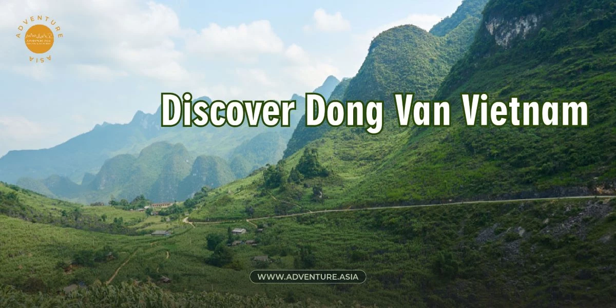 Discover Dong Van Vietnam: Exploring the Old Quarter, Vibrant Market, and Stunning Geo Park