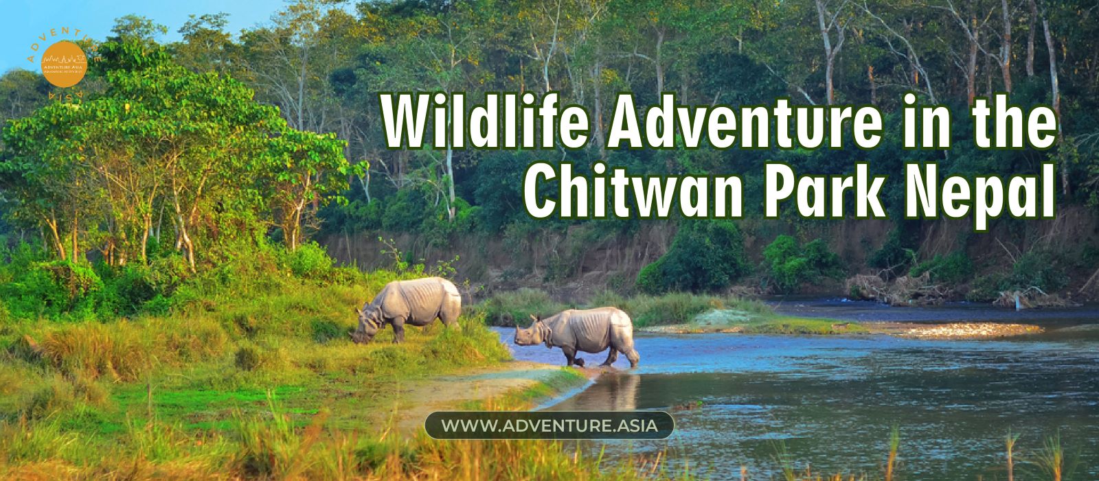 An Impressive Wildlife Adventure Awaits in the Chitwan Park Nepal