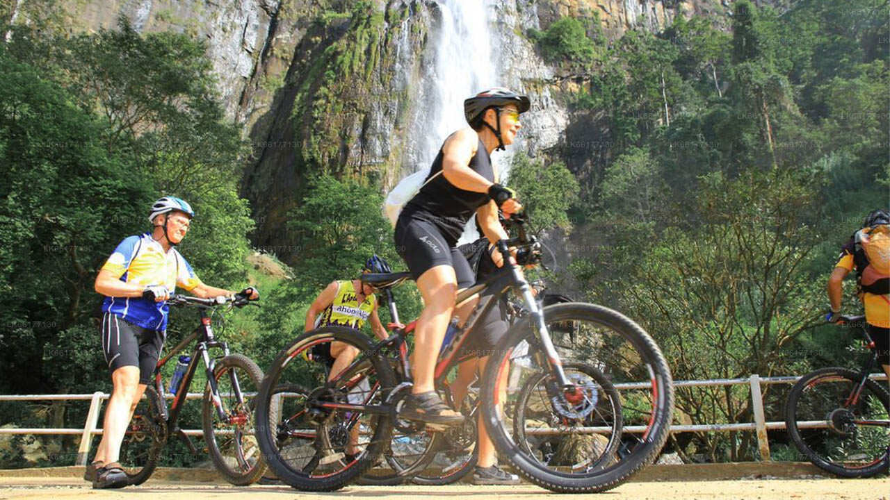 Villa Escudero Cycling Tour