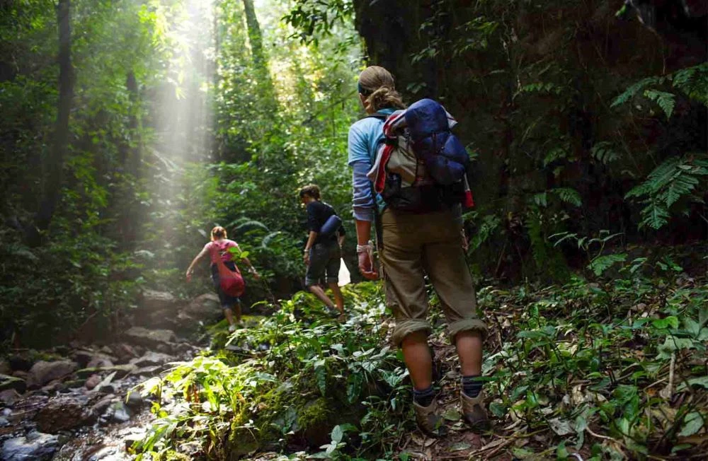 Nam Ha National Park Trekking