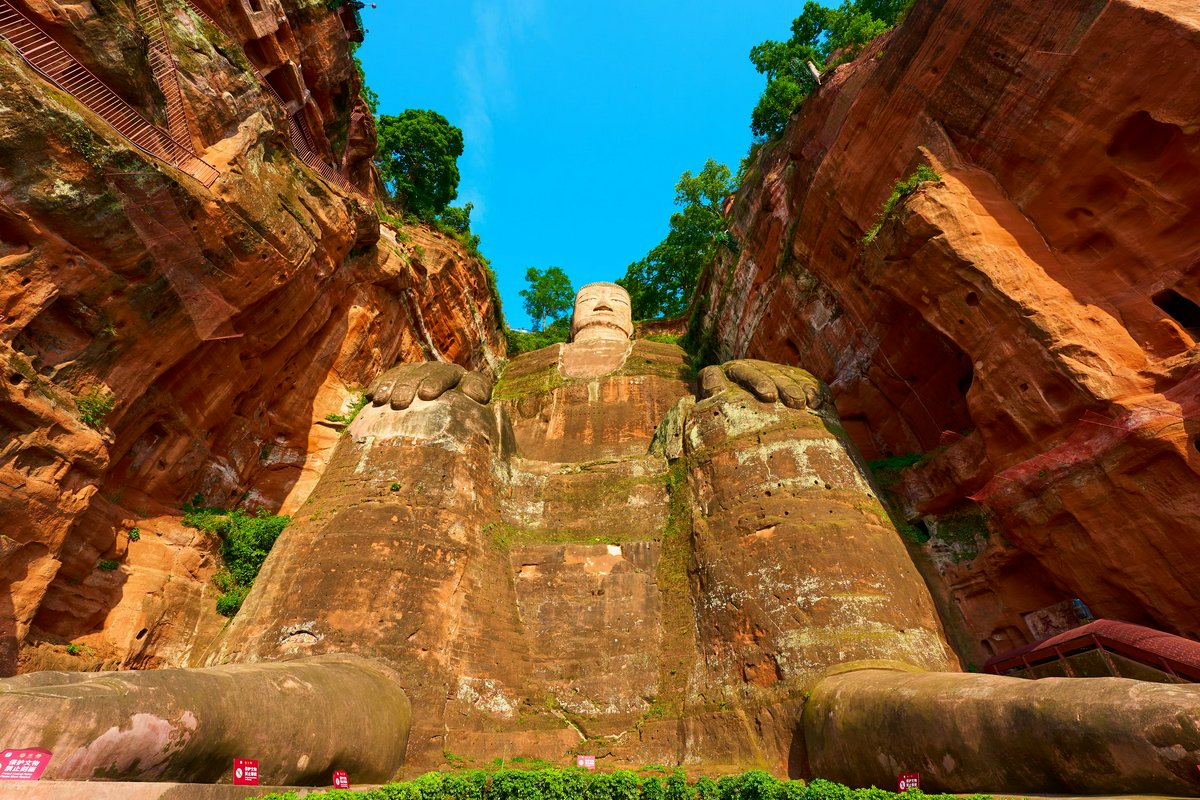 Giant Buddha and Tea Plantation