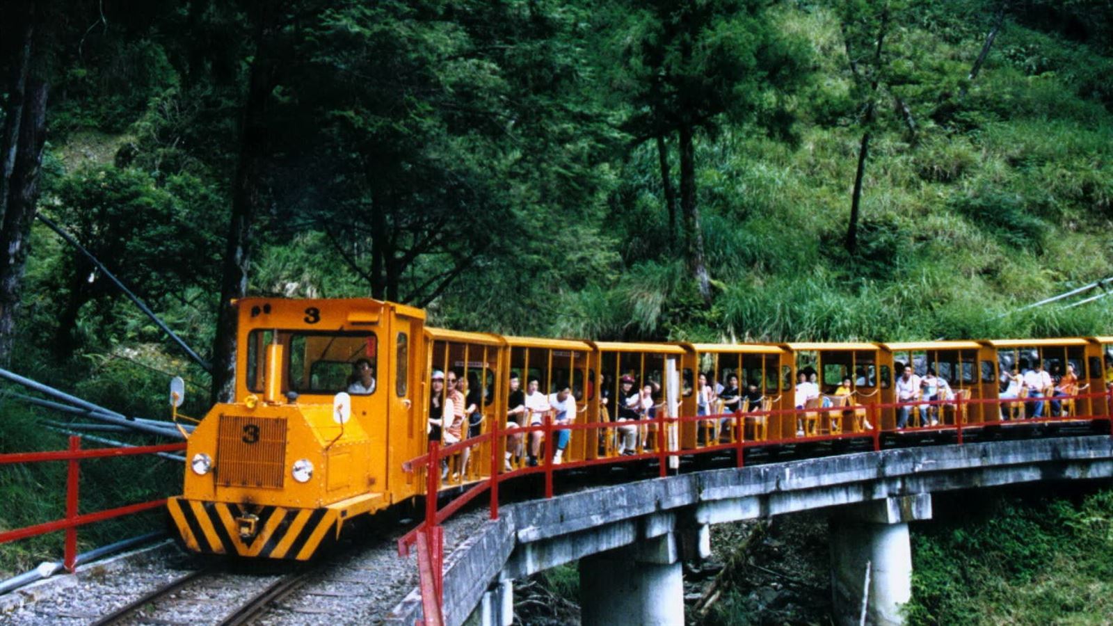 Taipingshan National Forest – Private Day Tour