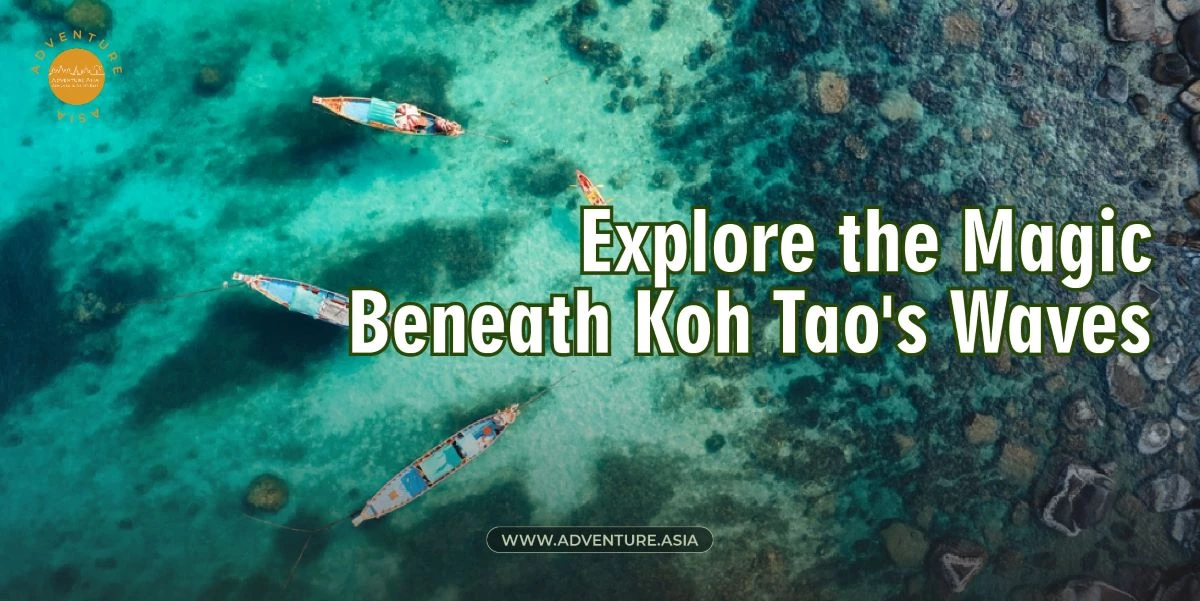 Thailand Island Diving: Explore the Magic Beneath Koh Tao Waves