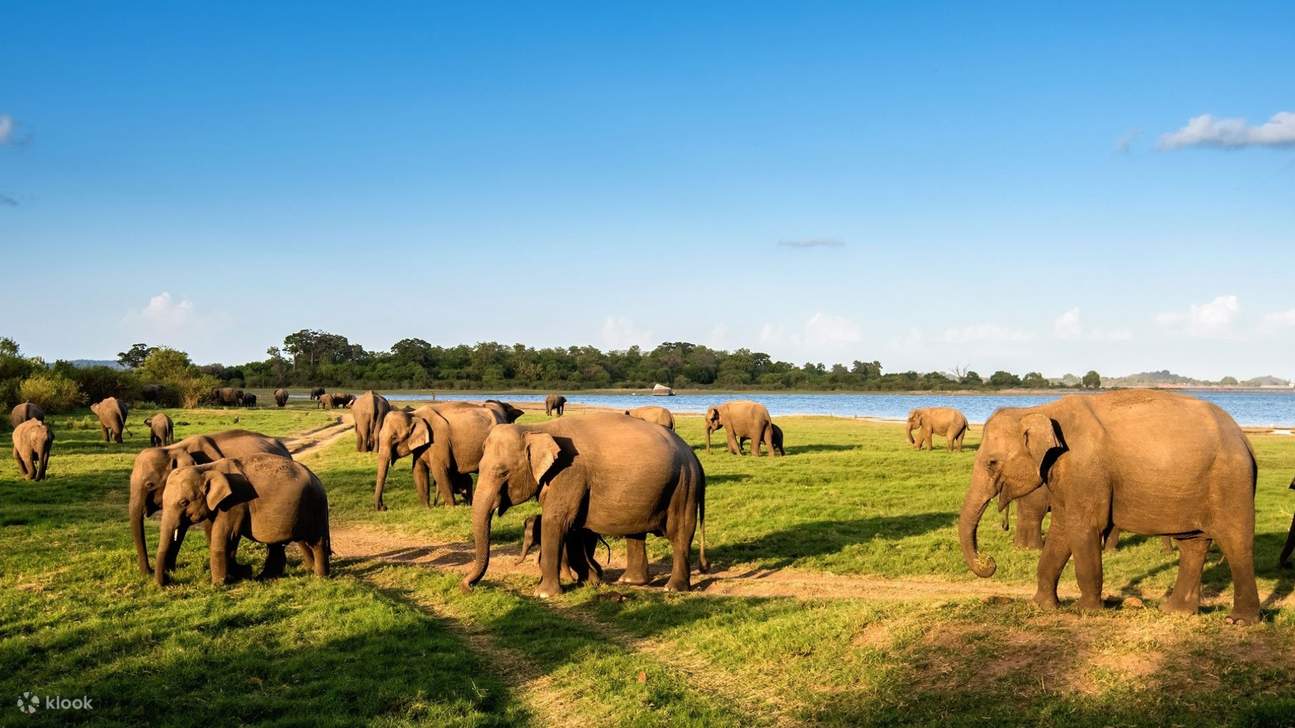 Short Break I: Colombo to Wilpattu
