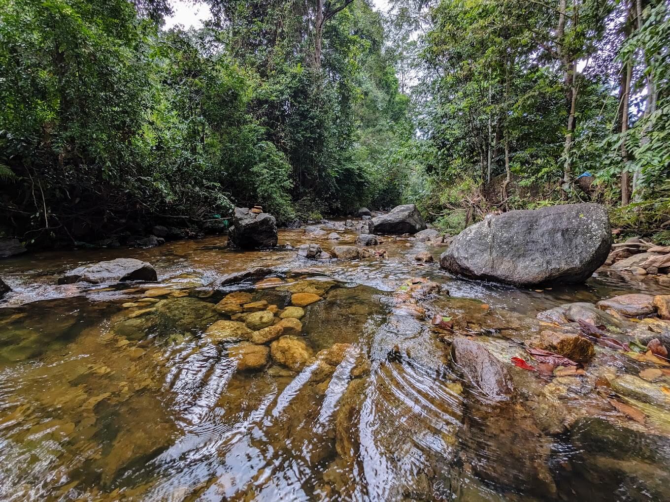 Cycling Tour of Kanneliya Rain Forest