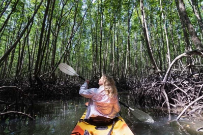 Peaceful journey on Local Gondola through Mangrove Forest Tungyeepeng Koh Lanta, Krabi
