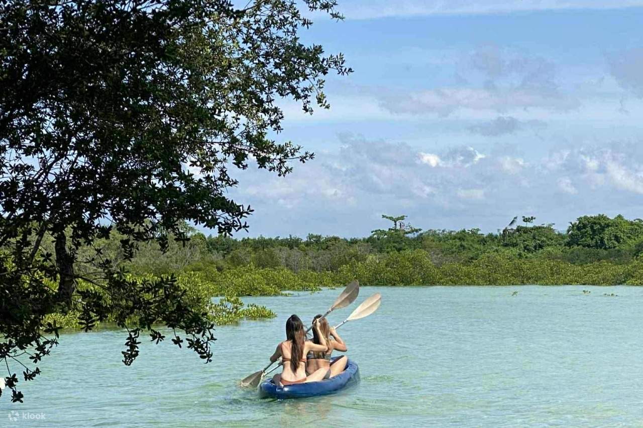 Olango Island bird migration tour | wildlife observation
