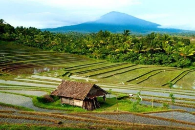 The Trails of Gods Bali Tour for the Family