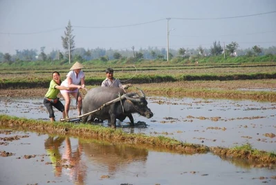 Country Life Experience in Hoi An