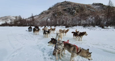 Dog sledding tour in Mongolia